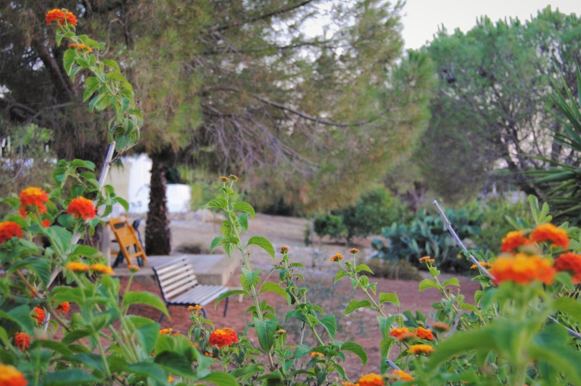 Villa Carola Gallipoli Exterior photo